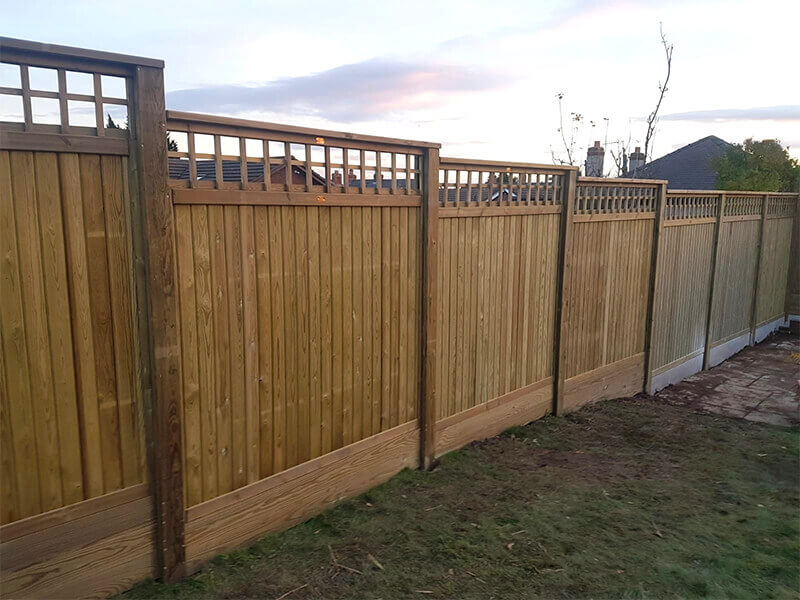 Fencing with trellis